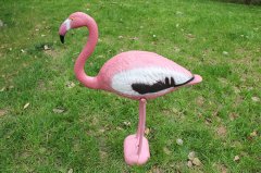 Flamingo W004