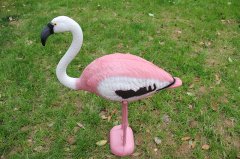 Flamingo W005