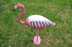 Flamingo W006