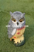 Owl R002