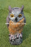 Owl R003