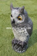 Owl R004