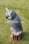 Owl R005