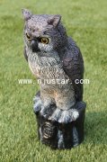 Owl R006
