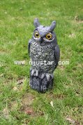 Owl R009