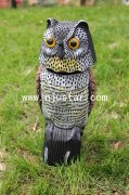 Owl R010