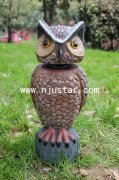 Owl R011