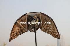 Owl R018