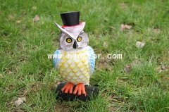 Owl R015