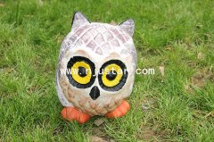 Owl R017