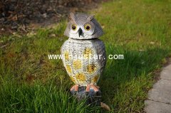 Owl R022