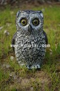 Owl R024