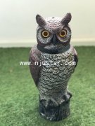 Owl R027
