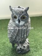Owl R028