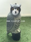 Owl R029