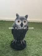 Owl R030