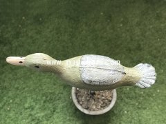 Duck S033