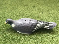 Pigeon S041