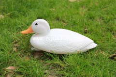 Duck N011