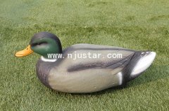 Duck N013