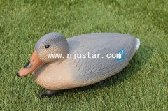 Duck N014