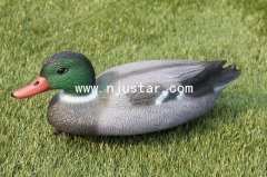 Duck N016