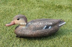 Duck N020