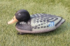 Duck N019