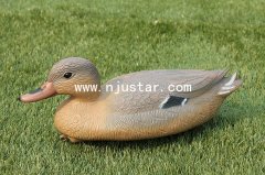 Duck N021