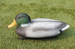 Duck N033