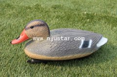 Duck N034