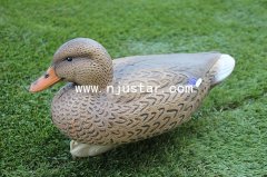 Duck N042