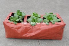 Planter bag PP013