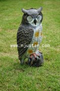 Owl R032